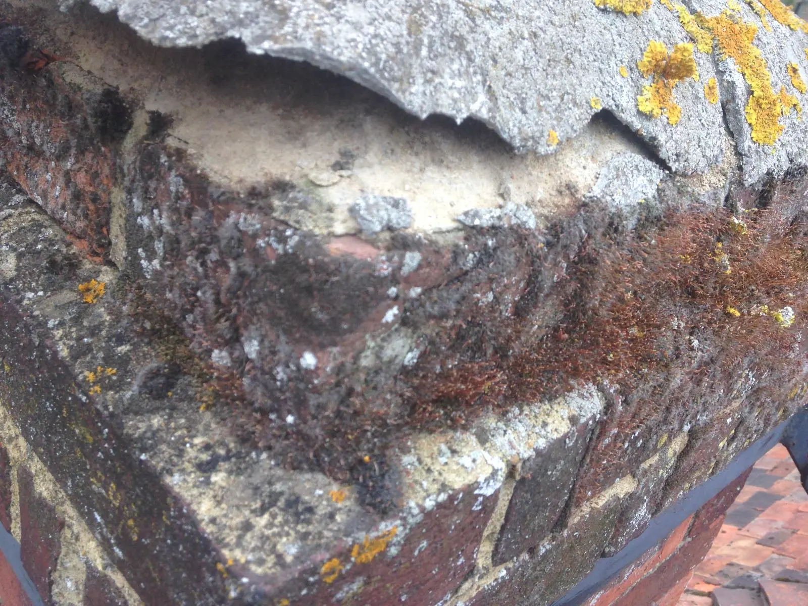 Chimney repair in Ashford Kent