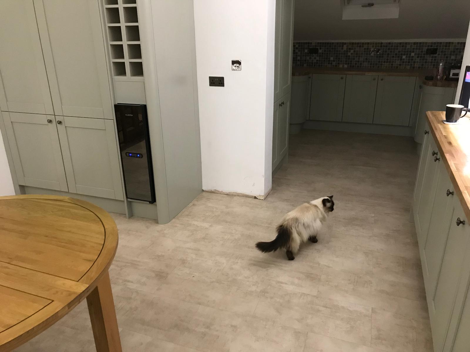 Laminate floor installed on kitchen extension project