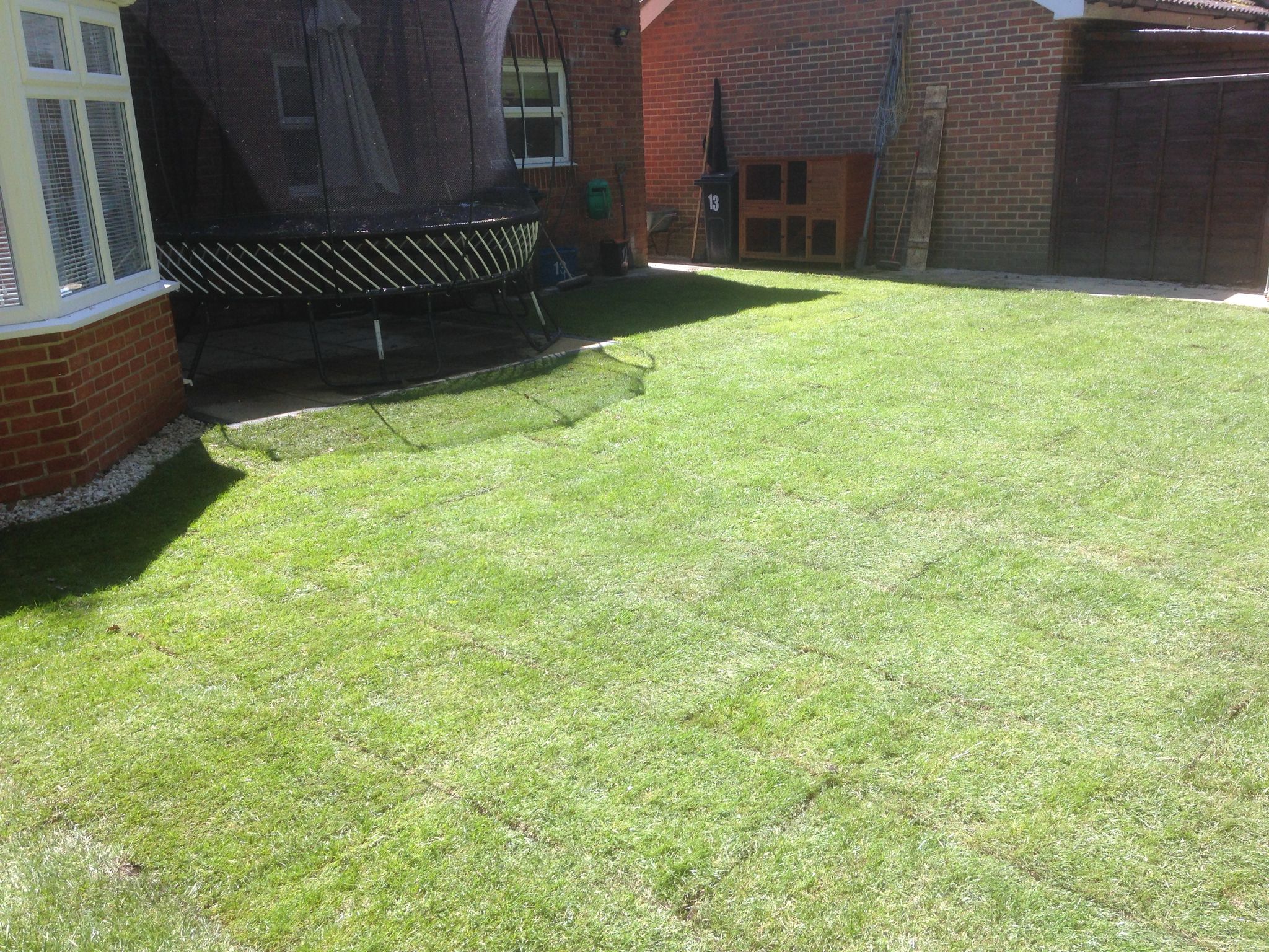 Landscaping project turf installation