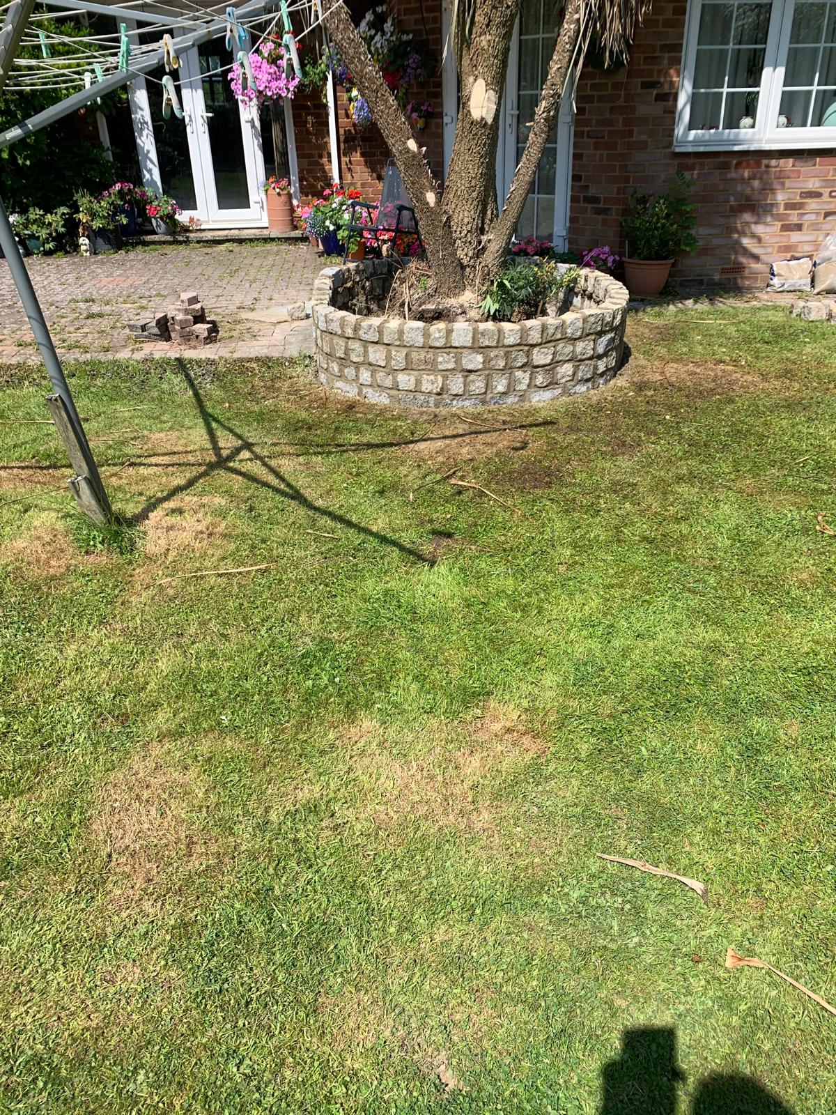 Landscaping project with natural stone circle wall installation around a tree