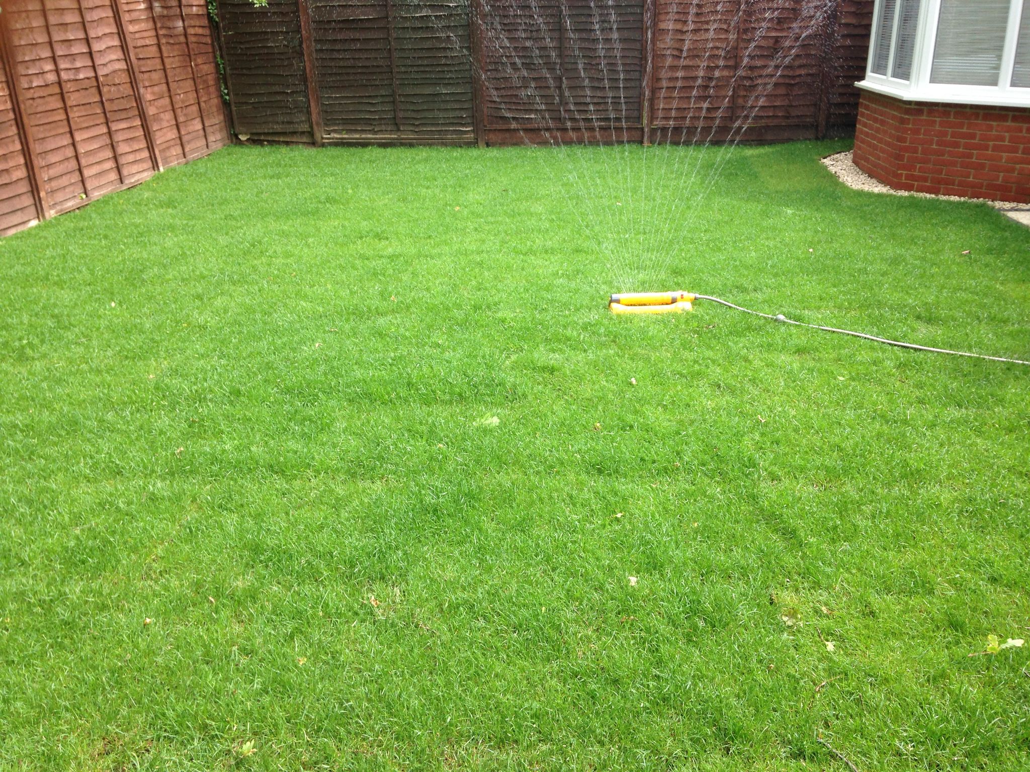 Local landscaping project turf installation