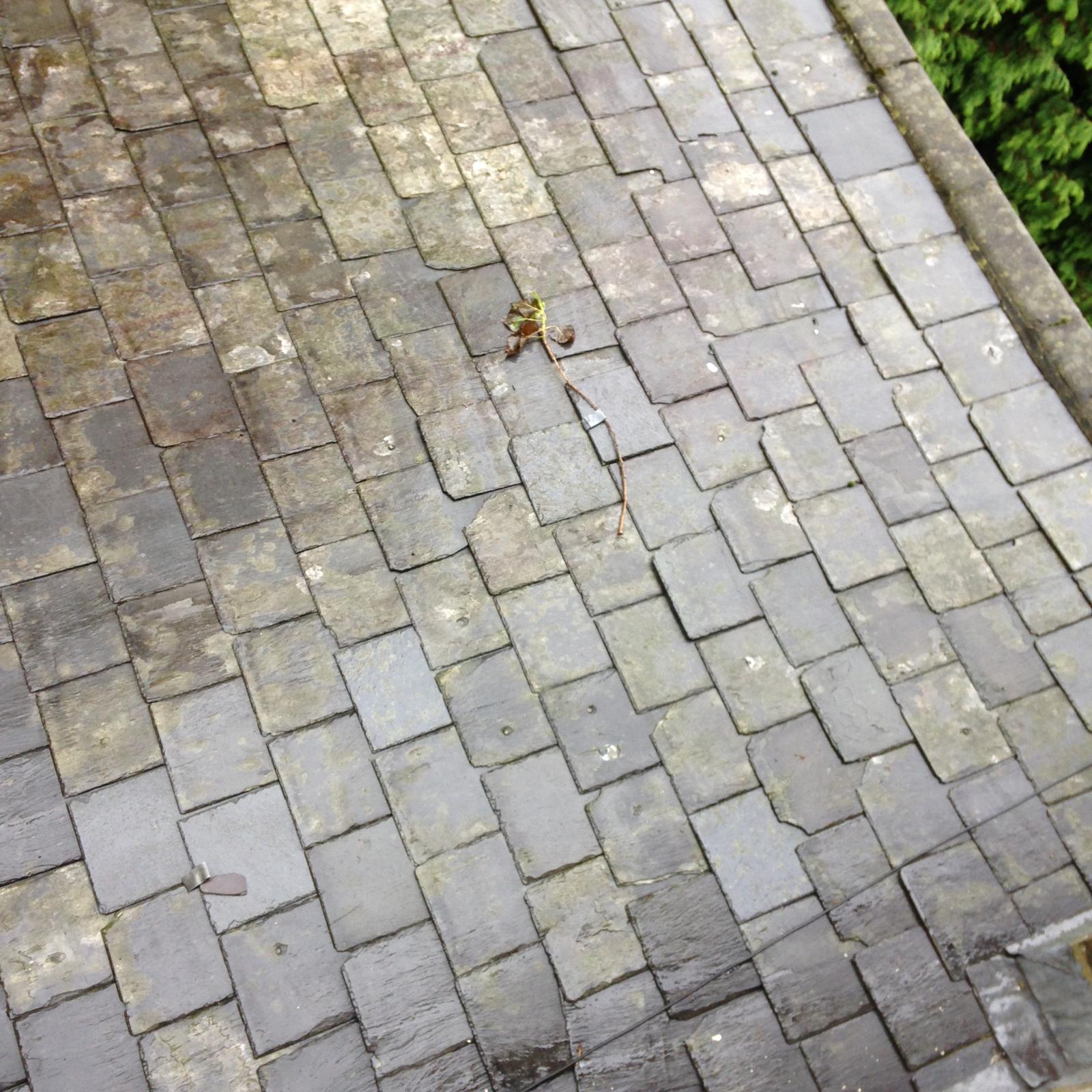 Local roof repair project