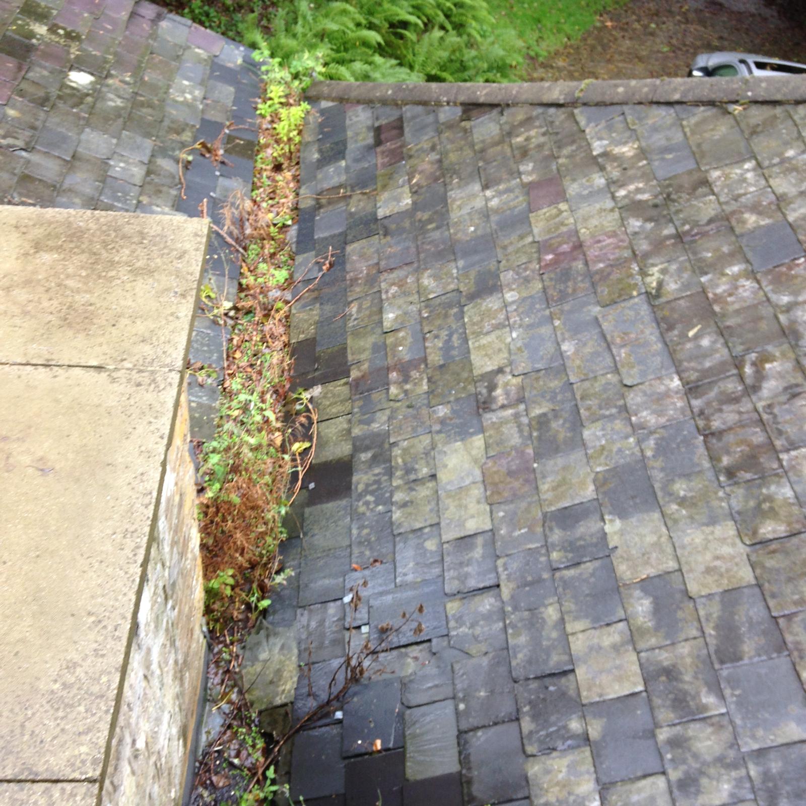 Roof project