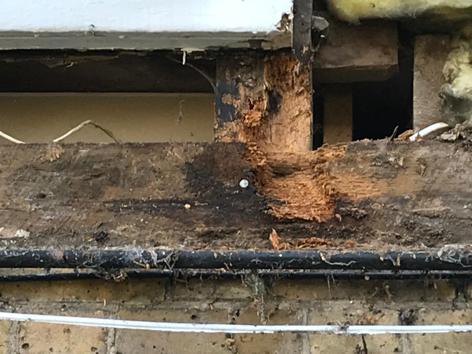 Wood Beams to be replace on the exterior cladding house installation project