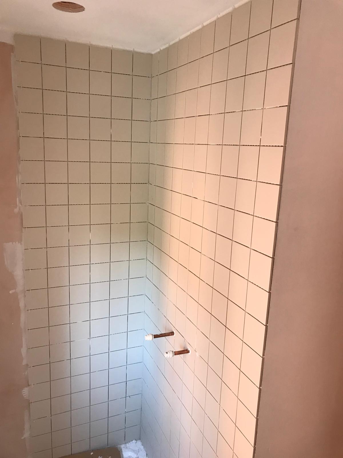 bathroom project with shower wall tile installation 